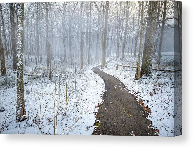 Snow Day Canvas Print featuring the photograph The Snowy Path by Jordan Hill