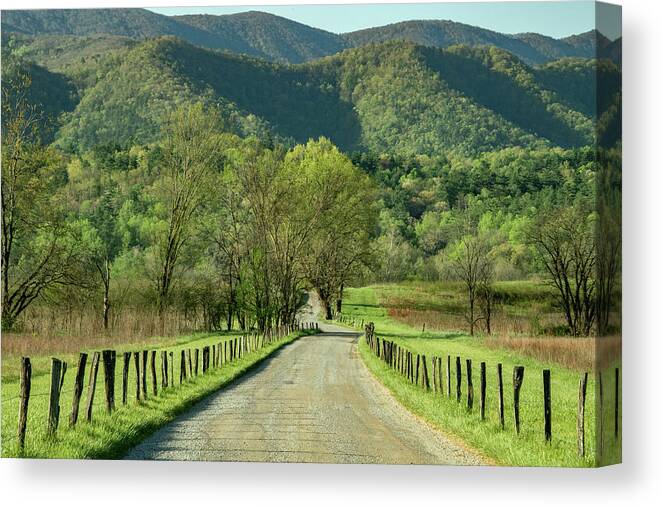  Canvas Print featuring the photograph The Spring Colors of Cades Cove Morning on Hyatt Lane by Marcy Wielfaert