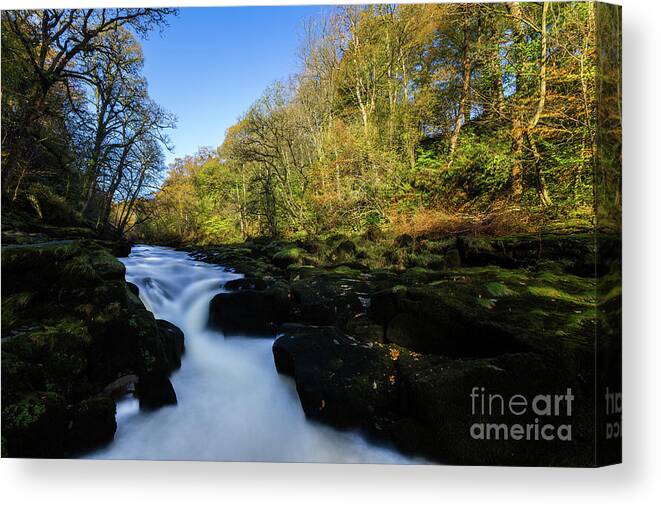 England Canvas Print featuring the photograph The Strid, Wharfedale by Tom Holmes Photography