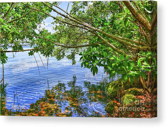 Melody Of Summer Noon Canvas Print featuring the photograph The Summer Noon by Olga Hamilton