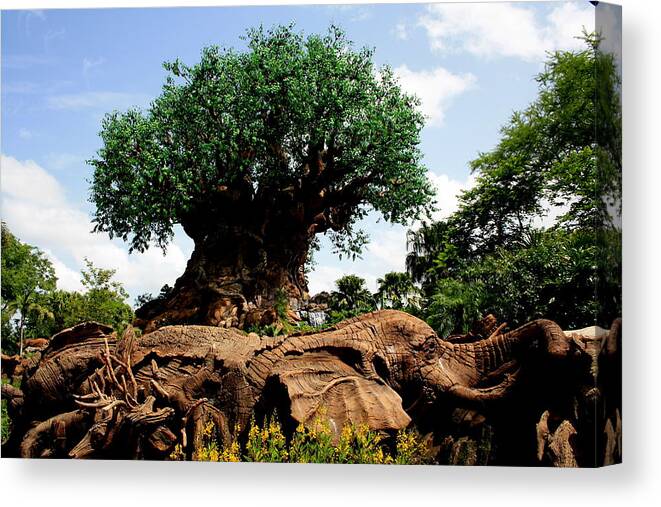 The Tree Of Life Canvas Print featuring the photograph The Trunk Of Life by David Nicholls