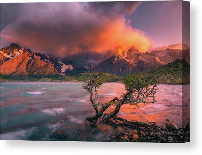 Patagonia Canvas Print featuring the photograph The Twin Trees by Henry w Liu
