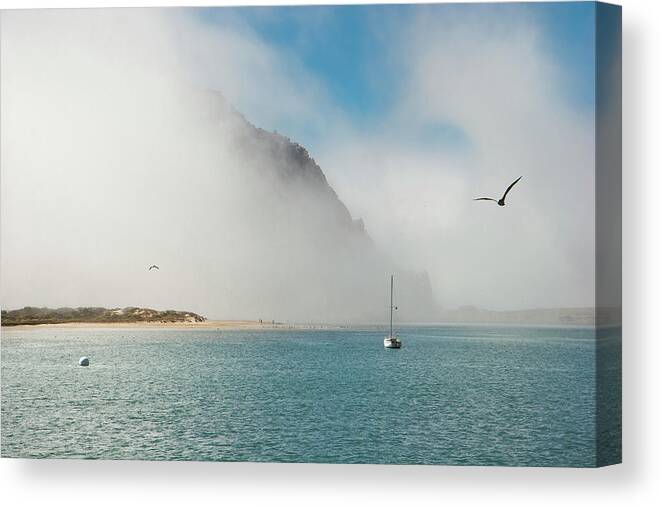 Fog Canvas Print featuring the photograph The Unveiling by Gina Cinardo
