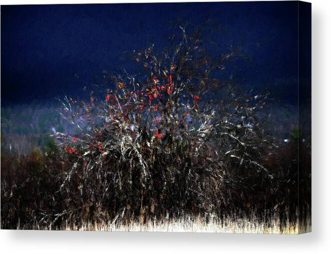 Apple Canvas Print featuring the photograph The Wild Apple by Wayne King