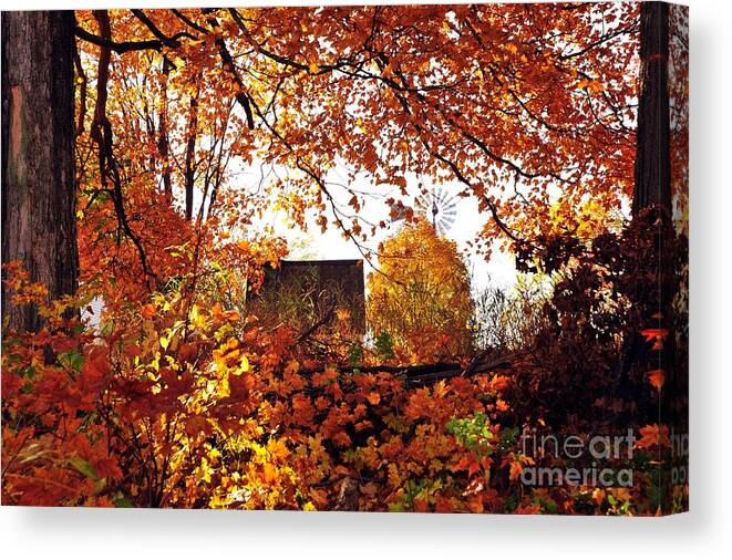 Autumn Canvas Print featuring the photograph The Windmill by Terri Gostola