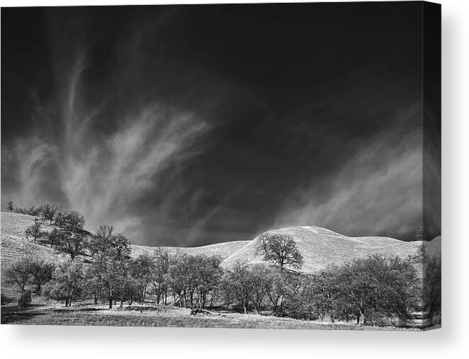 Del Valle Regional Park Canvas Print featuring the photograph They Say a Love like Ours Won't Last by Laurie Search