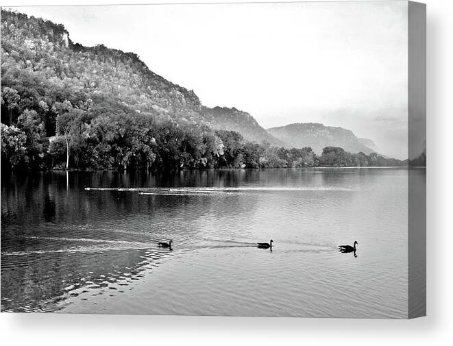 Winona Bluffs Canvas Print featuring the photograph Three's a Crowd by Susie Loechler