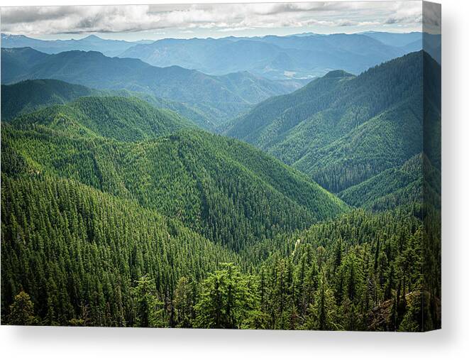 Mountain Canvas Print featuring the photograph Tidbit 4 by Ryan Weddle