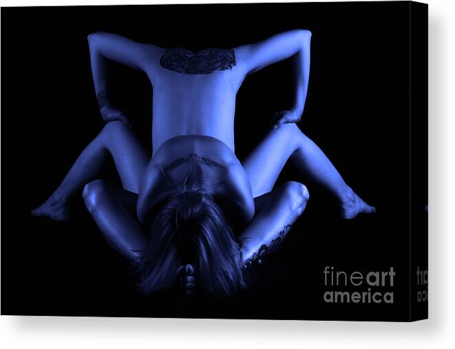 Nude Canvas Print featuring the photograph Tinge Beetle by Robert WK Clark
