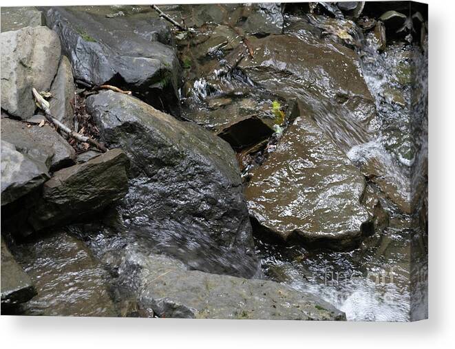 Water Canvas Print featuring the photograph Tinker Falls 20 by William Norton