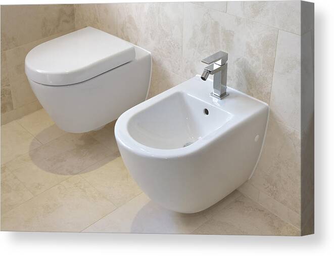 Handle Canvas Print featuring the photograph Toilet And Bidet by Phototropic