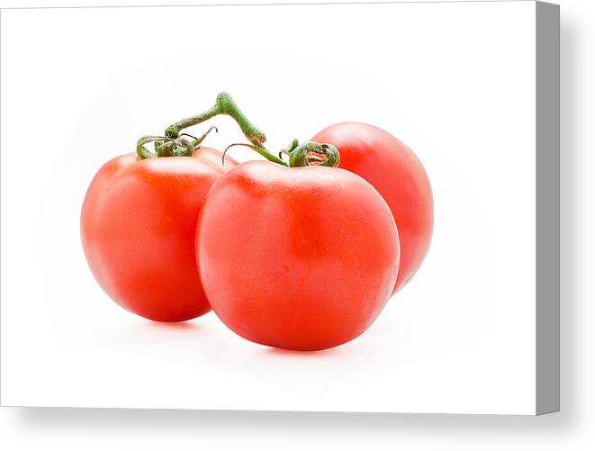 Single Object Canvas Print featuring the photograph Tomatoes by Imdevil