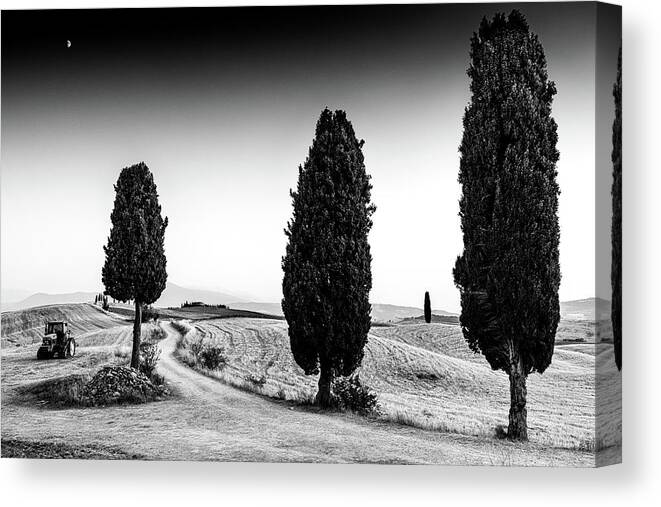 Italy Canvas Print featuring the photograph Tractor by Mark Gomez