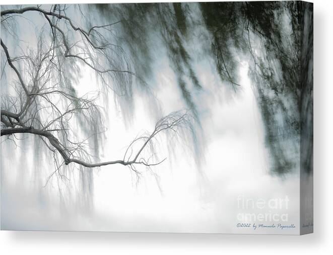 Tree Canvas Print featuring the photograph Tree Branch Blue Abstraction by Manuela's Camera Obscura