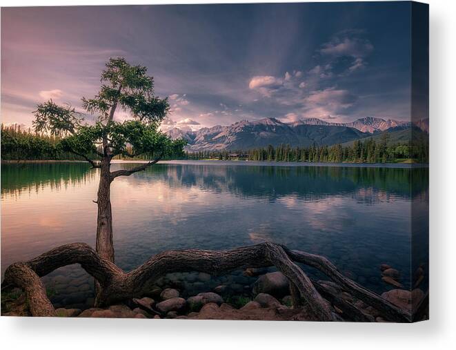 Tree Canvas Print featuring the photograph Tree on the lake by Henry w Liu