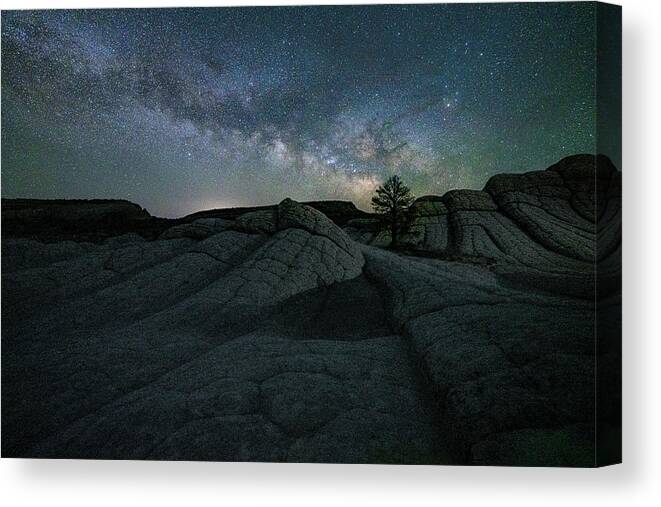 Milky Way Canvas Print featuring the photograph Tree under Stars by Judi Kubes