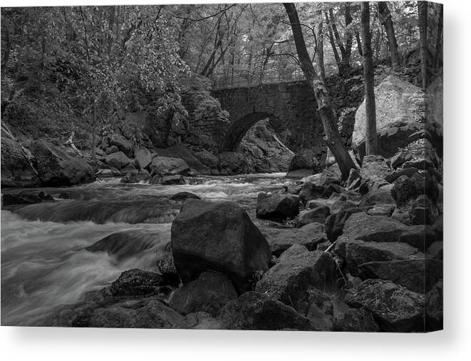 Trees Canvas Print featuring the photograph Trees along the Rockaway River #2 by Alan Goldberg