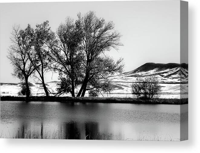 Cottonwood Trees Canvas Print featuring the photograph Trees at the fishing pond by Cathy Anderson