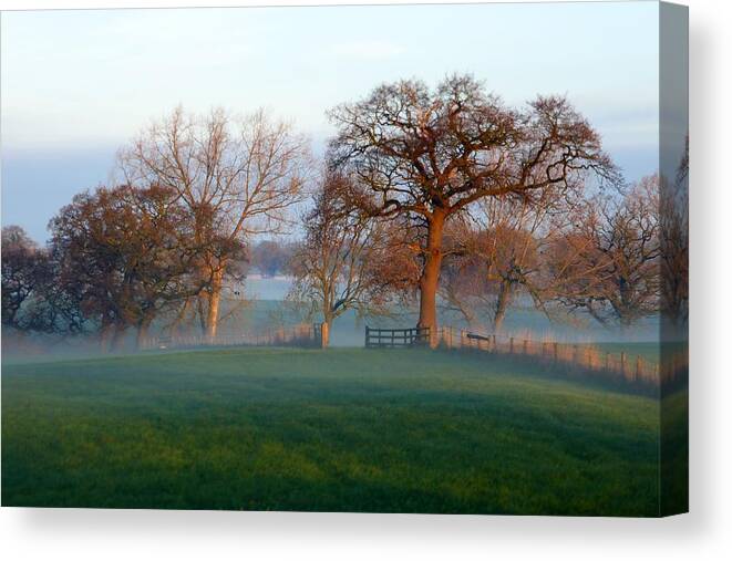 Trees Canvas Print featuring the photograph Trees Eleven by Ian Hutson