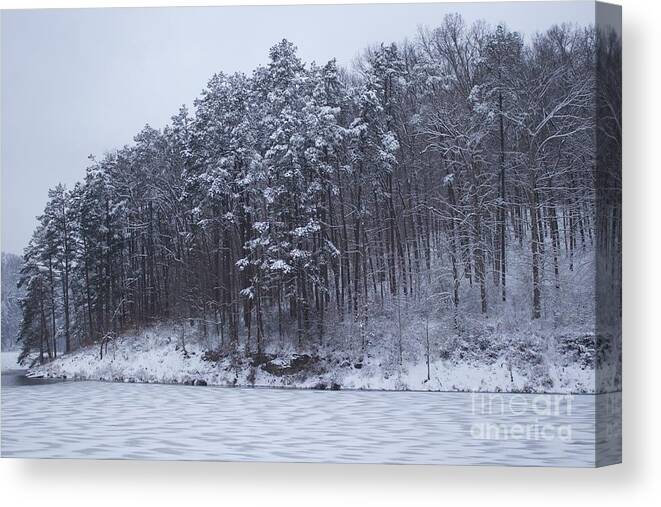 Woods Canvas Print featuring the photograph Trees heading towards the water by Yvonne M Smith