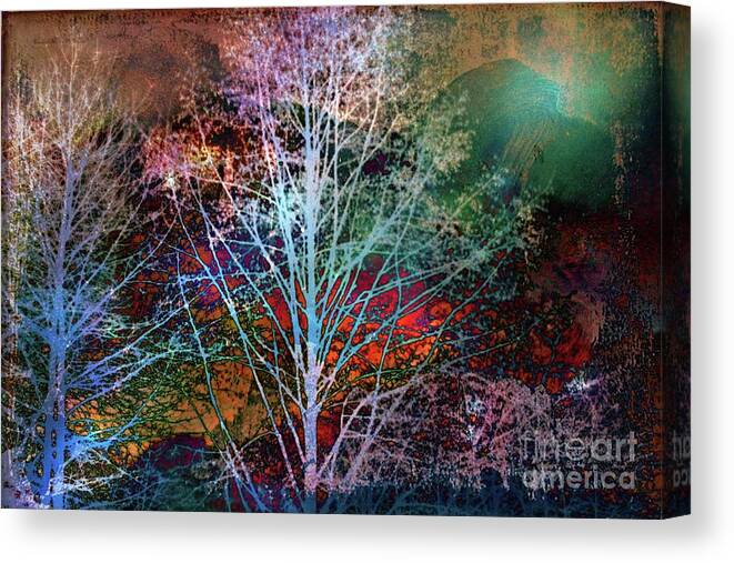 Trees Canvas Print featuring the photograph Trees In The Night by Sylvia Cook