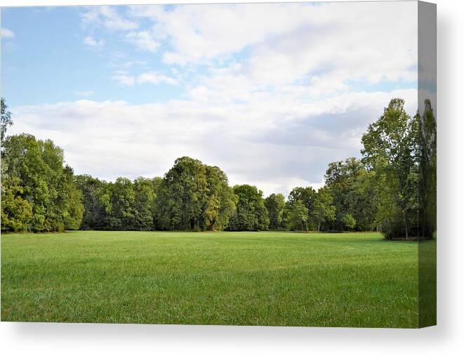 Scenics Canvas Print featuring the photograph Trees in the park in autumn against the blue sky by Blanchi Costela