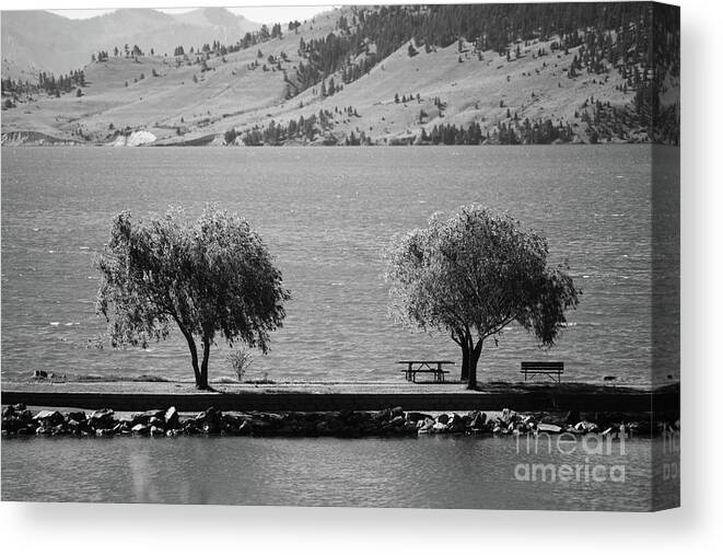 Nature Canvas Print featuring the photograph Trees on the Pier by Kae Cheatham