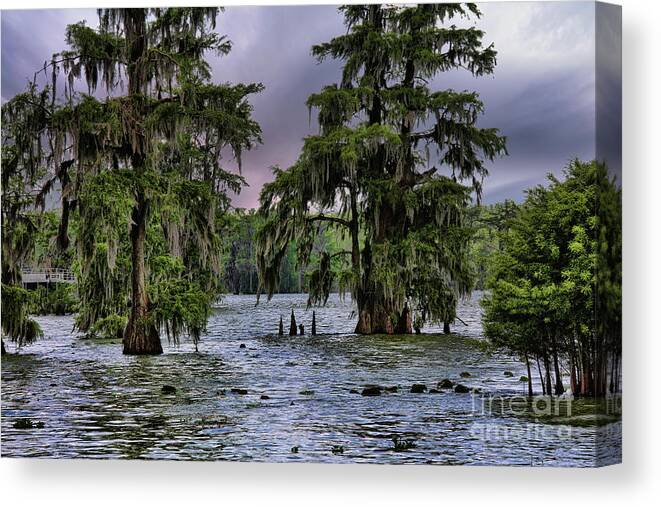 Louisiana Canvas Print featuring the photograph Trees Swamp Spanish Moss Lake Martin Louisiana Color by Chuck Kuhn