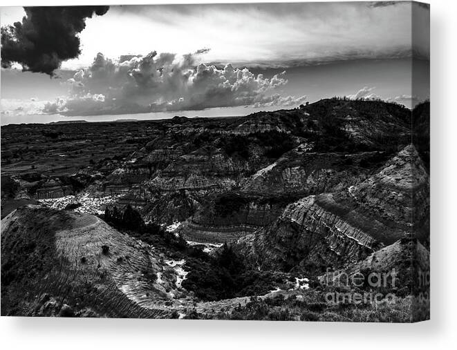 Black And White Canvas Print featuring the photograph TRNP Black and White by Nathan Wasylewski