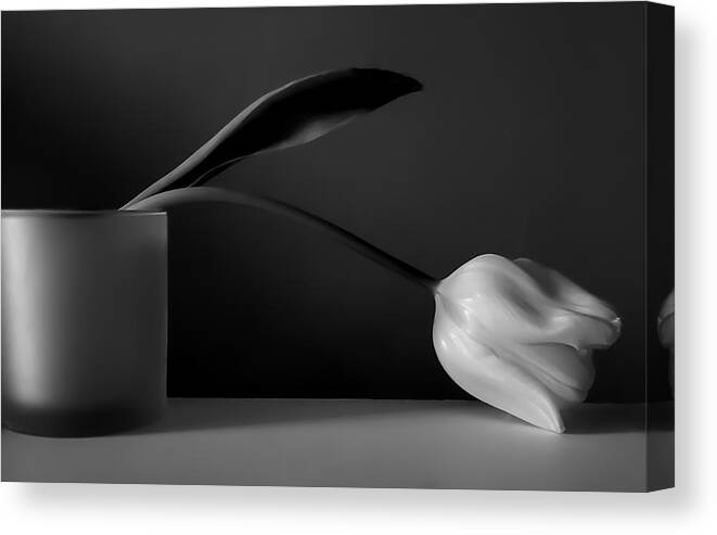 Art Canvas Print featuring the photograph Tulip Still Life Black and White by Joan Han