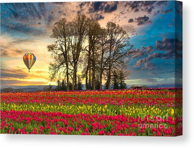 Garden Canvas Print featuring the photograph Tulips and Balloon by Sal Ahmed