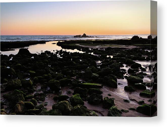 Low Tide Canvas Print featuring the photograph Twilight and rocks in Gale beach by Angelo DeVal