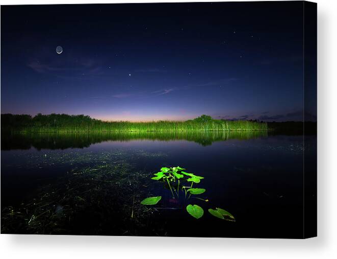 Everglades Canvas Print featuring the photograph Twilight in the Everglades by Mark Andrew Thomas