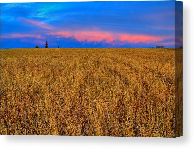 Alberta Canvas Print featuring the photograph Twilight Pink by James Anderson