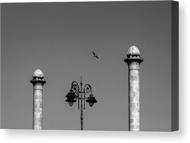 Twin Towers Canvas Print featuring the photograph Twin Towers by Prakash Ghai