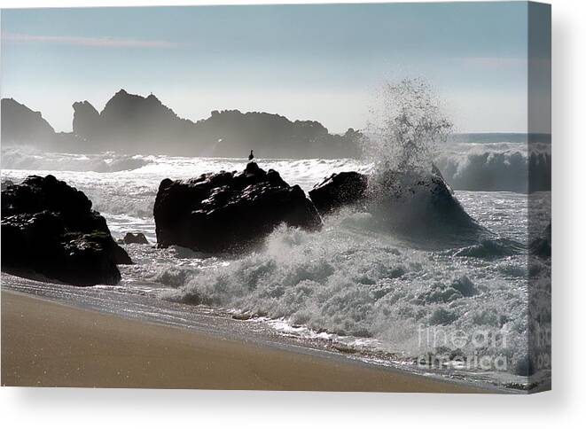 Big Sur Canvas Print featuring the photograph Two Gulls by James B Toy