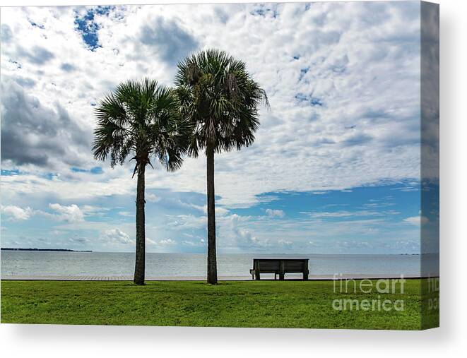 Two Canvas Print featuring the photograph Two Palms on Pensacola Bay by Beachtown Views