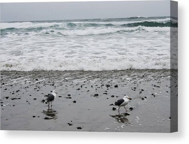 Photograph Birds Beach Ocean Sand Waves Canvas Print featuring the photograph Two Sea Birds by Beverly Read