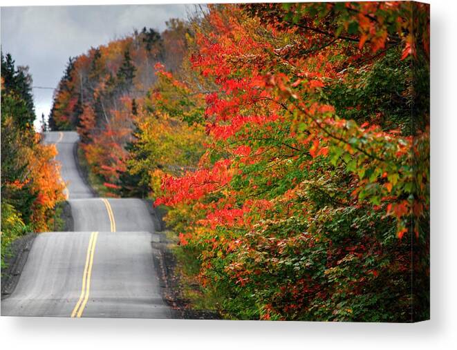 Take Me Home Country Roads Trees Fall Autumn Colours Colors Track Road Yellow Red Green Orange Blue Distance Fall Time October In Nova Scotia Canvas Print featuring the photograph Undulating Fall  by David Matthews