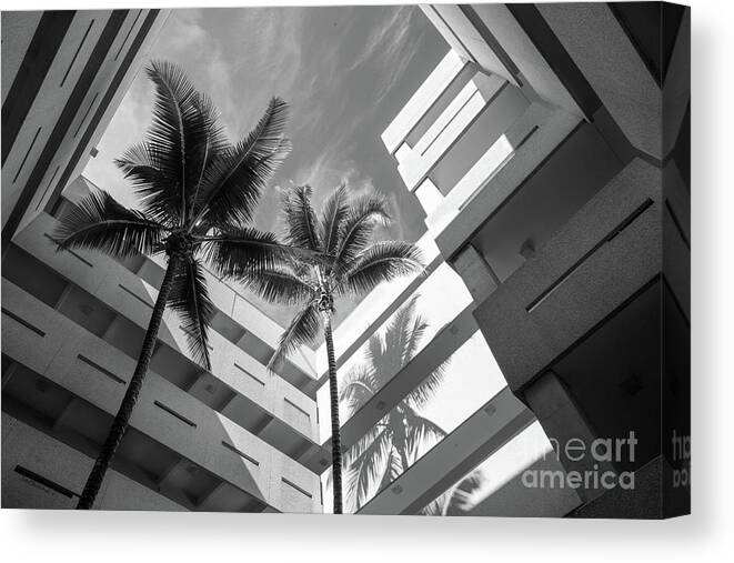 University Of Miami Canvas Print featuring the photograph University of Miami Business Administration Courtyard by University Icons