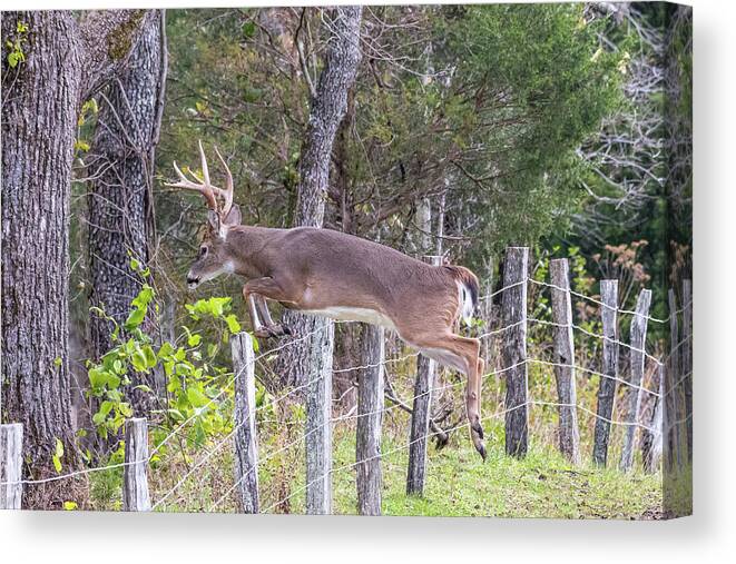  Canvas Print featuring the photograph Up and Over by Jim Miller