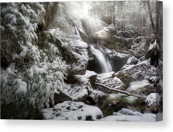Snowy Trees Canvas Print featuring the photograph Upper Kent Falls 2016 by Bill Wakeley