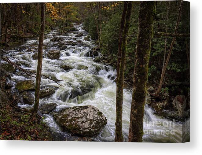 Fall Canvas Print featuring the photograph Upper Tremont by Doug Sturgess