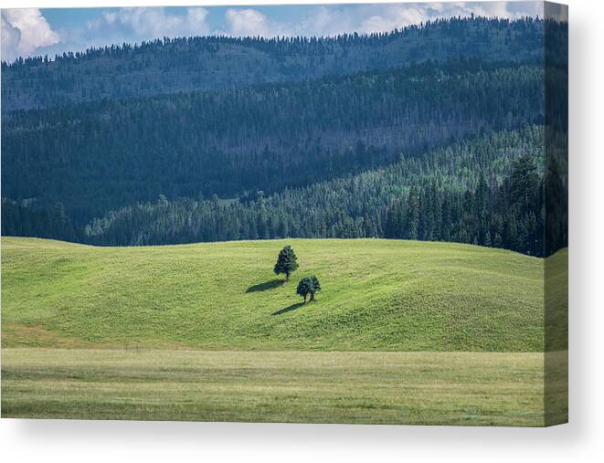 Scenics Canvas Print featuring the photograph Valles Caldera New Mexico by Mary Lee Dereske