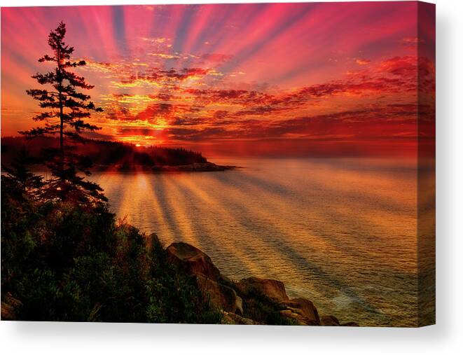Acadia National Park Canvas Print featuring the photograph Vibrant Acadia Sunrise by Dennis Dame