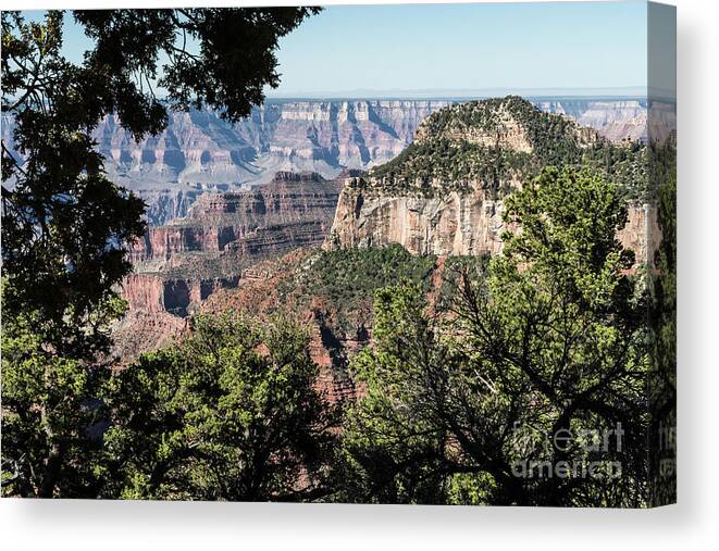 Arizona Canvas Print featuring the photograph View from the North Rim by Kathy McClure