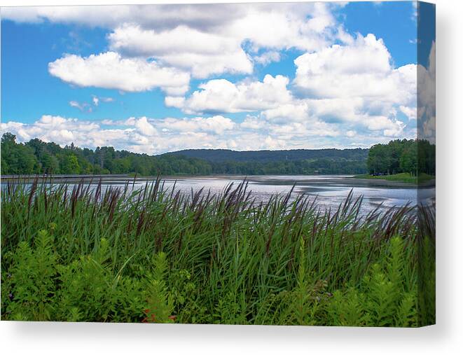 Water Canvas Print featuring the photograph View through the weeds by Jim Feldman