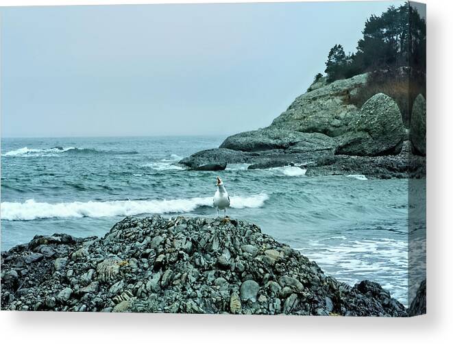 Rhode Island Canvas Print featuring the photograph Voice in the Wilderness by Nancy De Flon