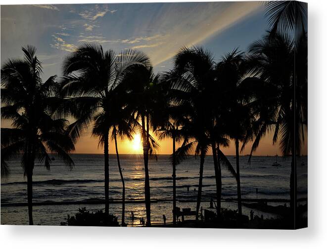 Hawaii Canvas Print featuring the photograph Waikiki Sunset in the Palm Trees by Marilyn MacCrakin