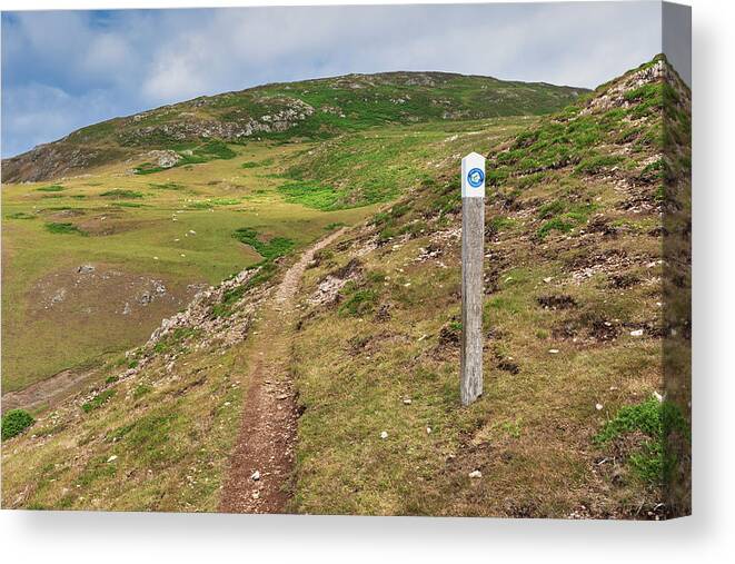 Path Canvas Print featuring the photograph Wales Coast Path by Steev Stamford